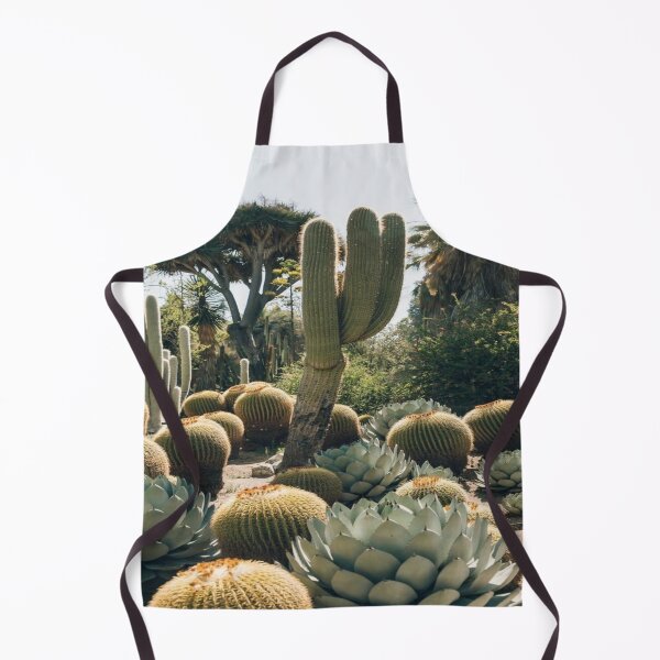 Item preview, Catus, melocatus, biznaga, cholla, date designed and sold by RenatoGuzman.