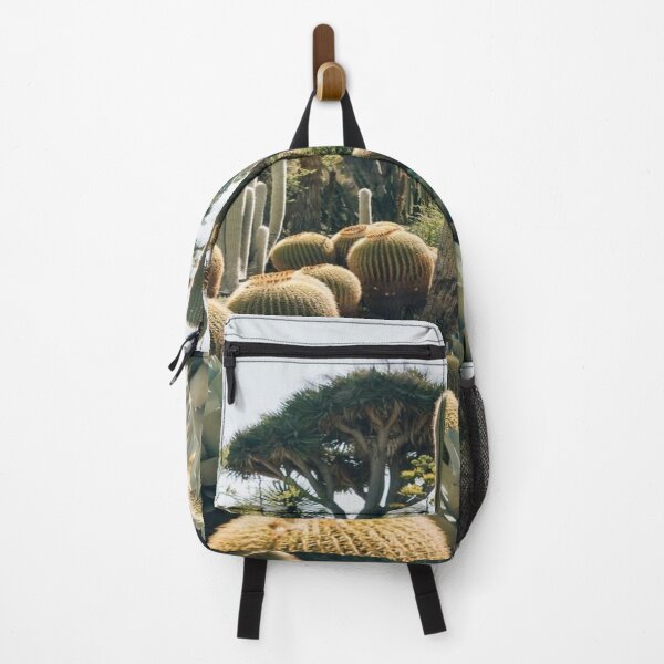Item preview, Catus, melocatus, biznaga, cholla, date designed and sold by RenatoGuzman.