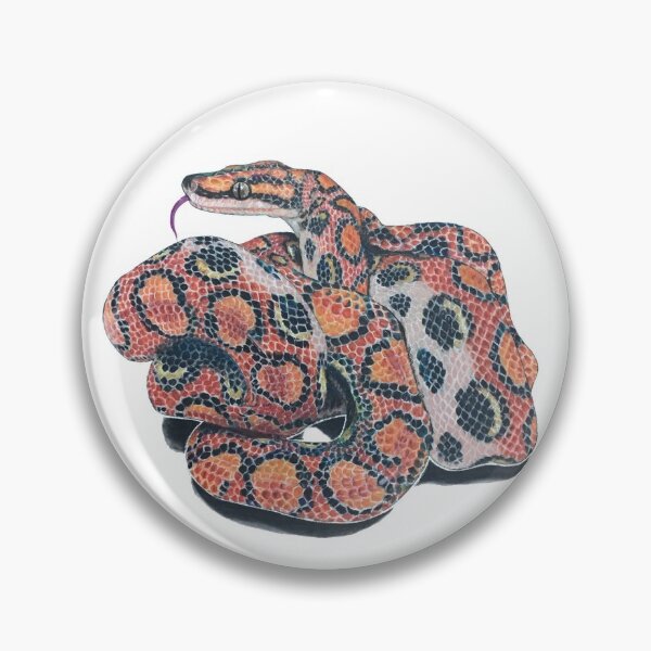 Item preview, Brazilian Rainbow Boa designed and sold by Madison Whitaker.