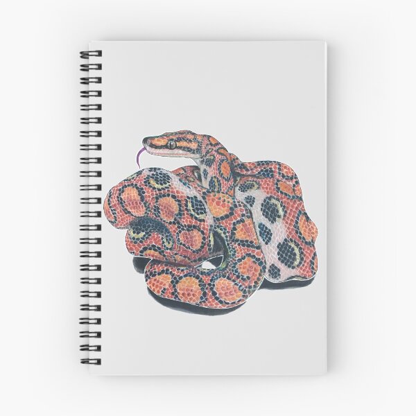 Item preview, Brazilian Rainbow Boa designed and sold by Madison Whitaker.