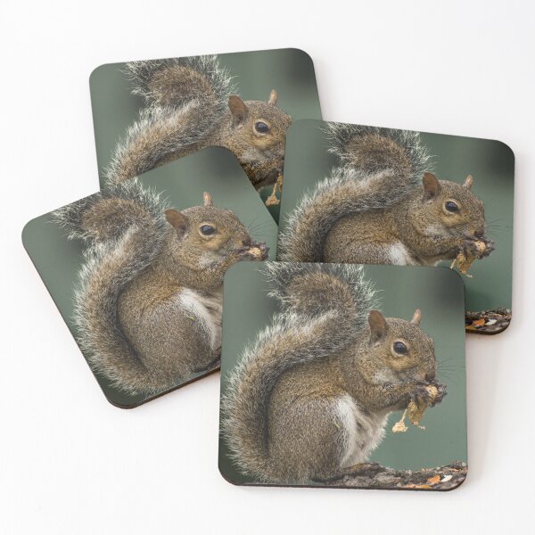 Item preview, Grey squirrel eating a nut designed and sold by Zina Stromberg.