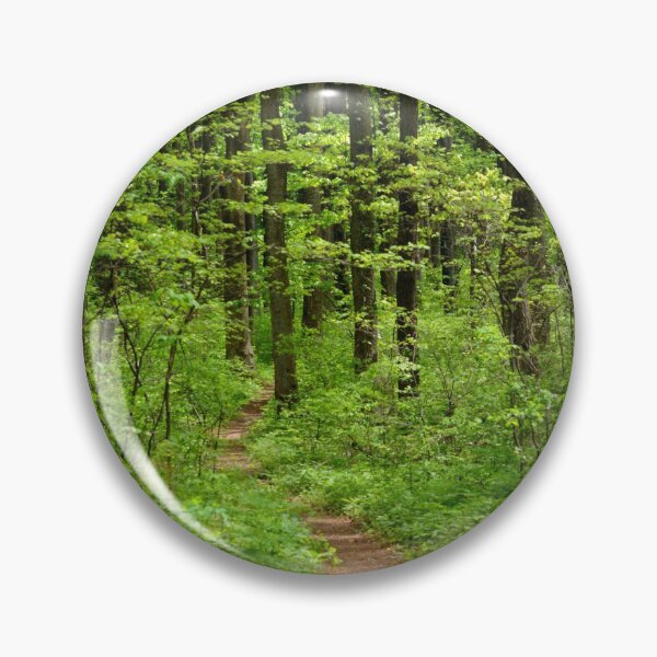 Artikelvorschau, Waldweg entworfen und verkauft von BattleMountain.