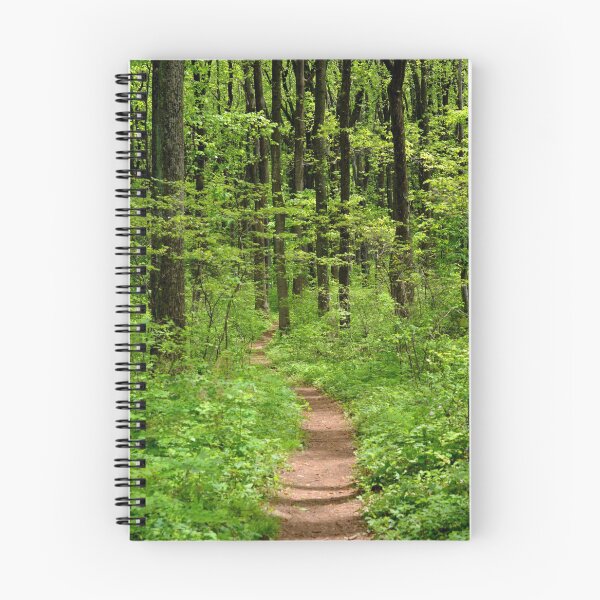 Item preview, Forest Trail designed and sold by BattleMountain.