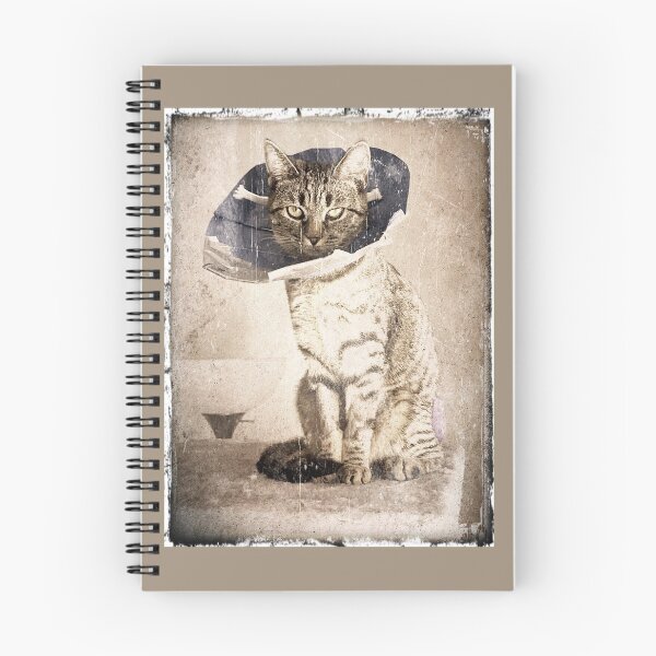 Item preview, One of those Days designed and sold by Artist2121.
