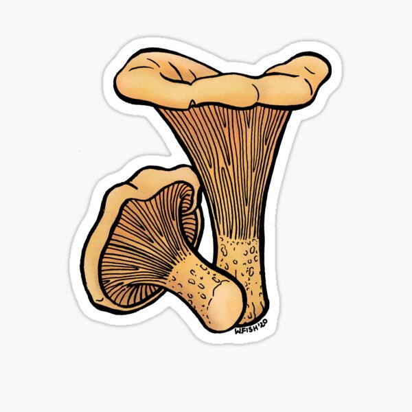 Item preview, chanterelle mushroom designed and sold by Fishtopus.