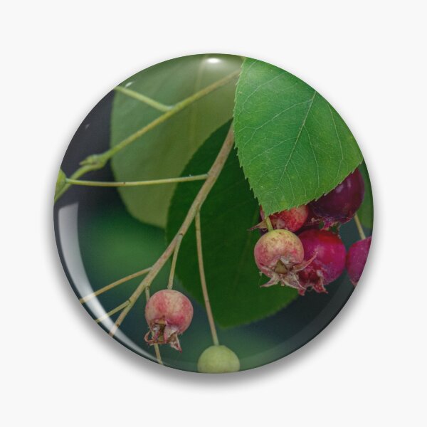Artikelvorschau, Reife und reife Beeren entworfen und verkauft von Gerda Grice Photography.