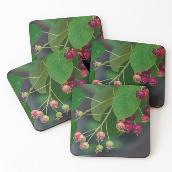 Item preview, Ripe and Ripening Berries designed and sold by Gerda Grice Photography.
