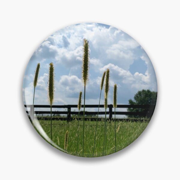 Item preview, Cat tails designed and sold by Artsy57.