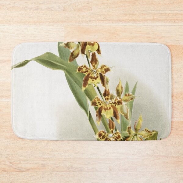 Item preview, Reichenbachia: Orchids Illustrated and Described designed and sold by EsotericBotanic.
