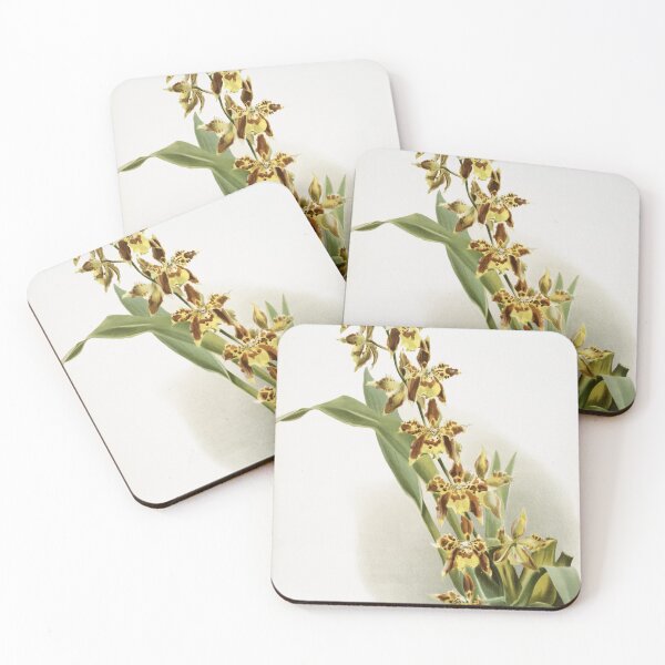 Item preview, Reichenbachia: Orchids Illustrated and Described designed and sold by EsotericBotanic.