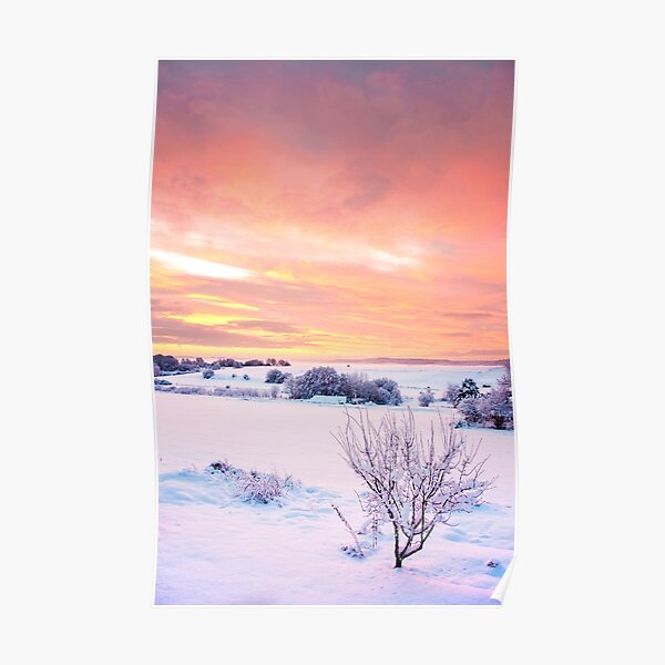 Winter Wonderland - Sunrise with Snow Poster