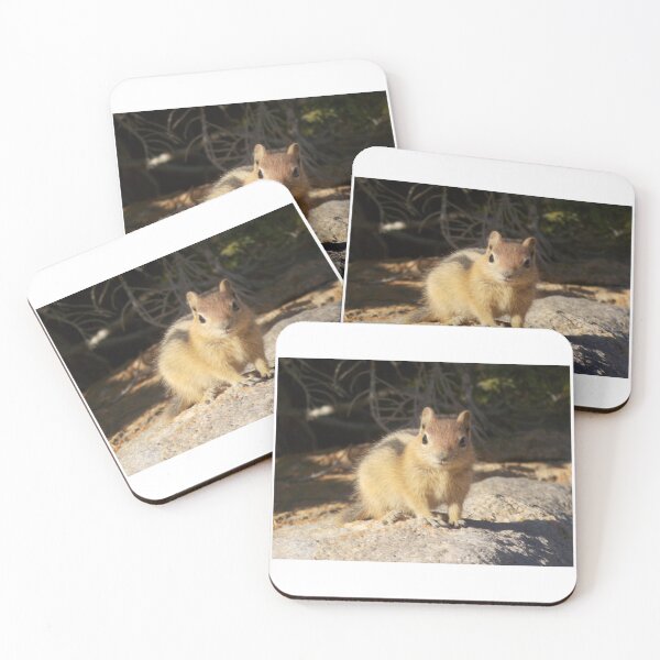 Item preview, Portrait of a Golden-Mantled Ground Squirrel designed and sold by KristinaL.
