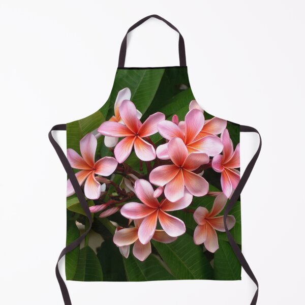 Artikelvorschau, rosa Plumeria, Blume, Hawaii, weiß, rosa, weich, Aquarelle, Pastellfarben, Blumen, entworfen und verkauft von prteacool.