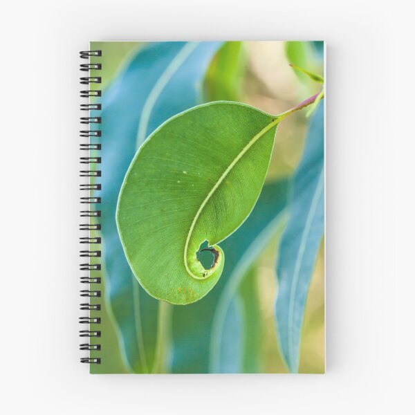 Item preview, Gum Leaf Curl designed and sold by Esther Frieda.