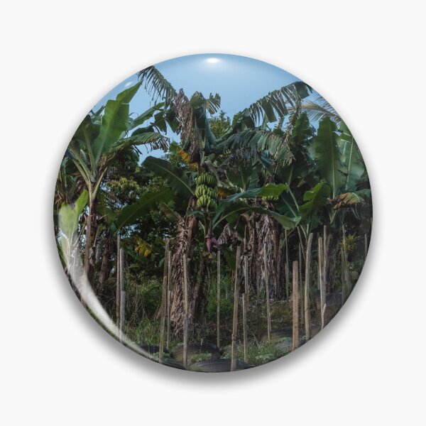 Item preview, Plantar en Paramin designed and sold by Elli-Photos.