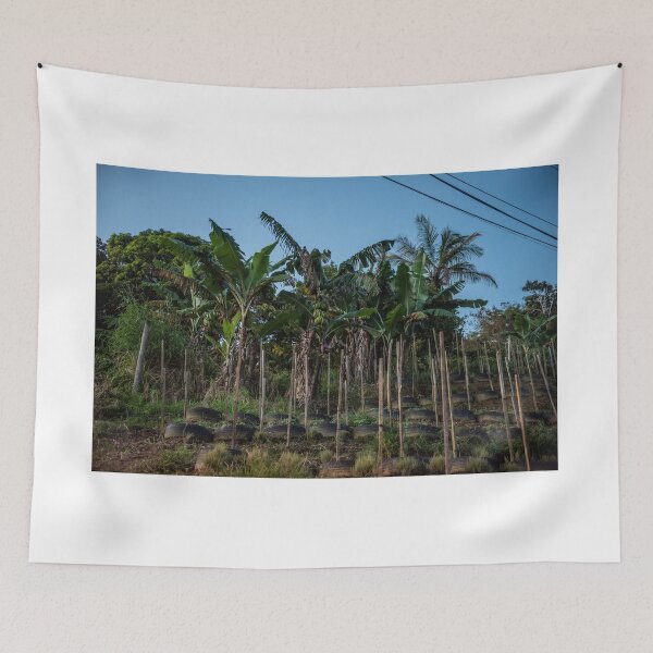 Item preview, Planting in Paramin designed and sold by Elli-Photos.