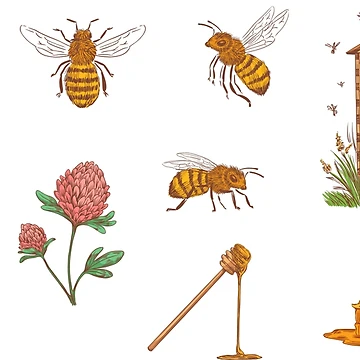 Artwork thumbnail, Honey Sticker- Sticker Pack by PatternSquare