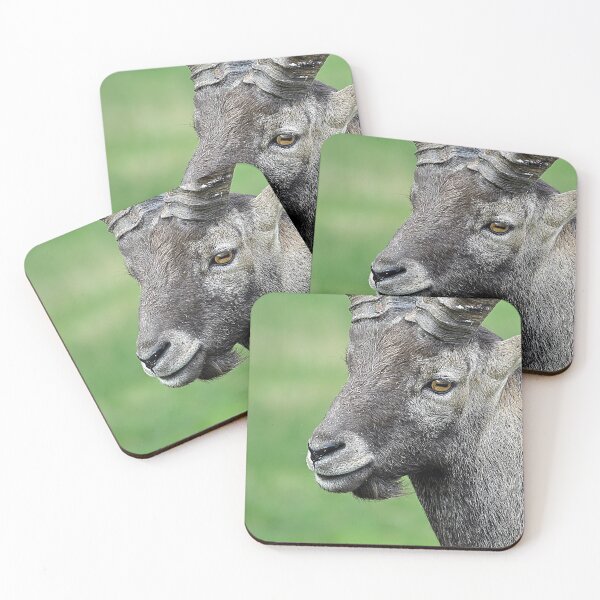 Item preview, Alpine ibex designed and sold by Denis Charmot.