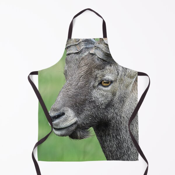 Item preview, Alpine ibex designed and sold by Denis Charmot.