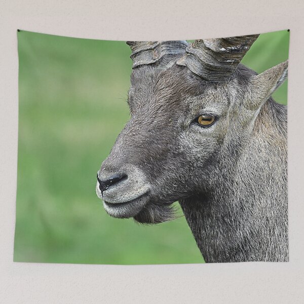 Item preview, Alpine ibex designed and sold by Denis Charmot.