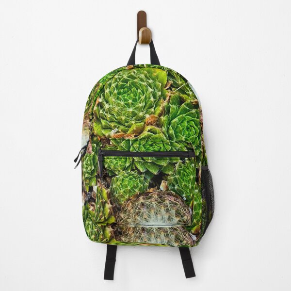 Item preview, sempervivum succulent designed and sold by Nora Branning.