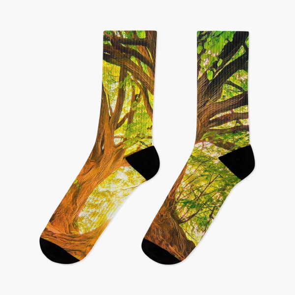 Item preview, Morning In The Woods designed and sold by evokearo.