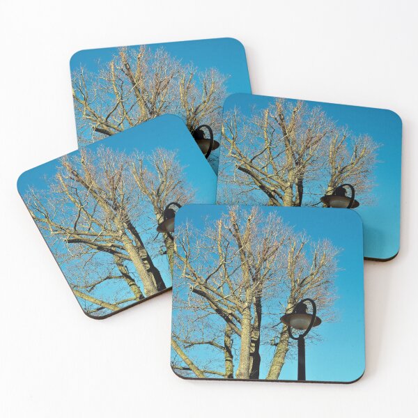 Artikelvorschau, Lampe und Baum, Baum und Lampe entworfen und verkauft von frankuffmann.
