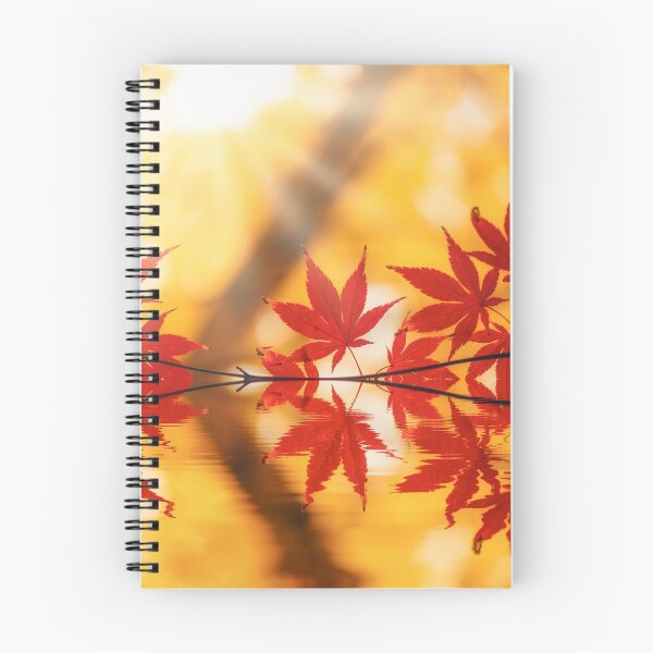 Item preview, The Sun Shines Even in Autumn designed and sold by Philippe Sainte-Laudy.