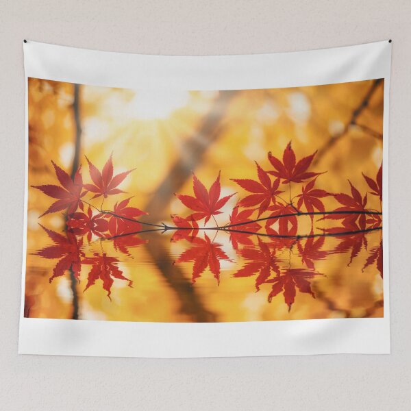 Item preview, The Sun Shines Even in Autumn designed and sold by Philippe Sainte-Laudy.