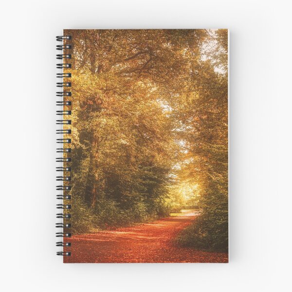 Item preview, Hymn to Autumn designed and sold by Philippe Sainte-Laudy.