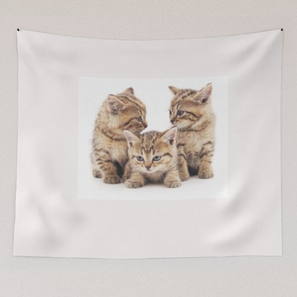 Item preview, Cat lover designed and sold by maichix.
