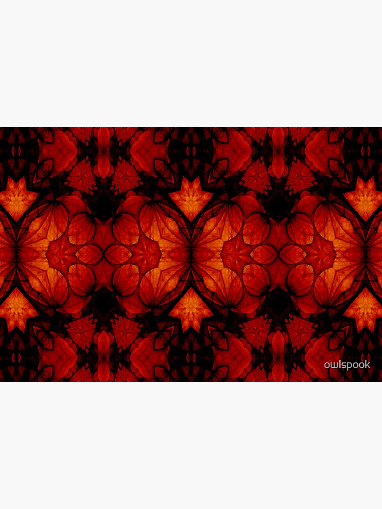 Chinese Lantern by owlspook