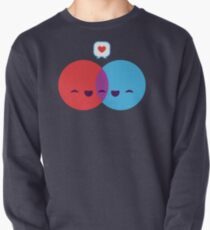 Love Diagram Pullover