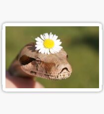 Flower Power Sticker