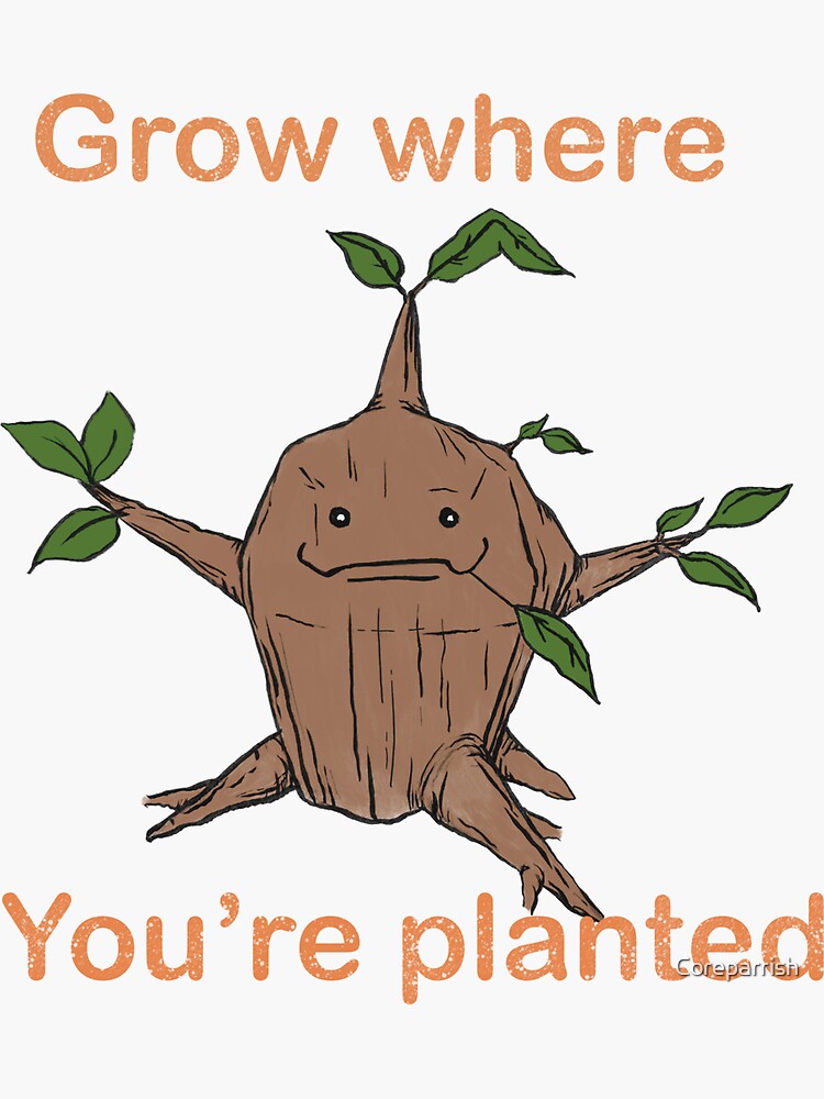 Sprout Where You/'re Planted Sticker