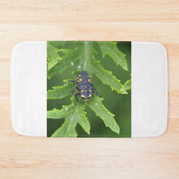 Item preview, Larva of Coccinella septempunctata (seven-spotted ladybug) designed and sold by SDym Photography.