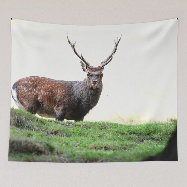 Item preview, Deer designed and sold by Denis Charmot.
