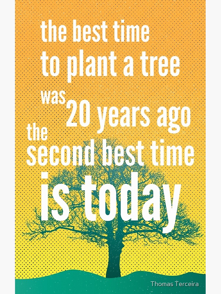 "the best time to plant a tree" Poster by tterceira Redbubble