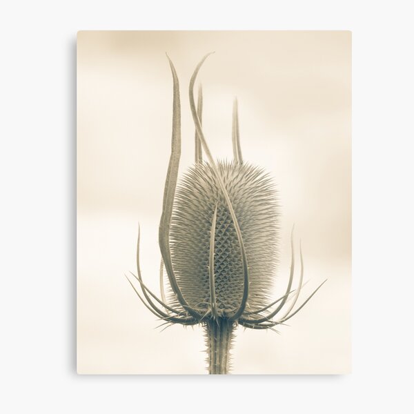 Unexpected Direction Metal Print