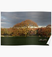 Untitled Poster