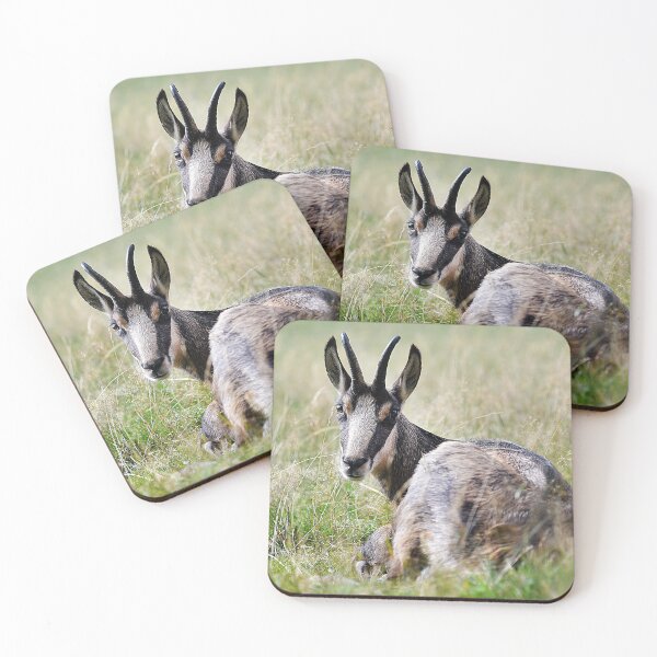 Item preview, Chamois designed and sold by Denis Charmot.