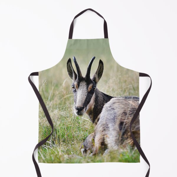 Item preview, Chamois designed and sold by Denis Charmot.