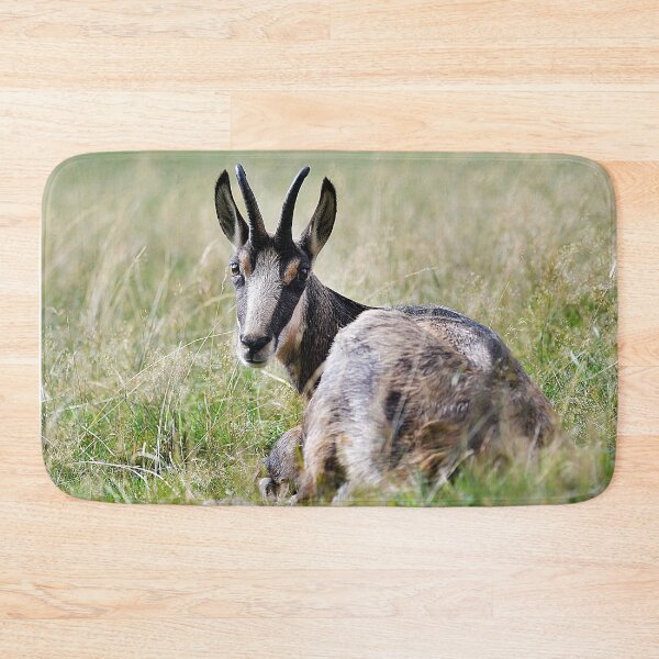 Item preview, Chamois designed and sold by Denis Charmot.