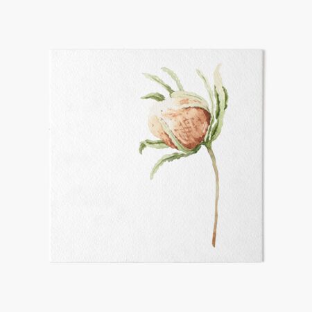 Beautiful vector composition of black and white flowers peony protea  isolated on white background amasing hand drawn  CanStock