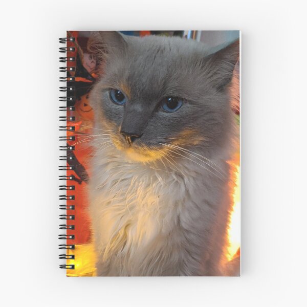 Item preview, Ragdoll cat Odin designed and sold by Fluffycat2020.