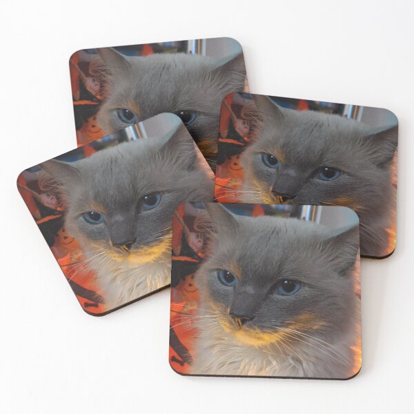 Item preview, Ragdoll cat Odin designed and sold by Fluffycat2020.