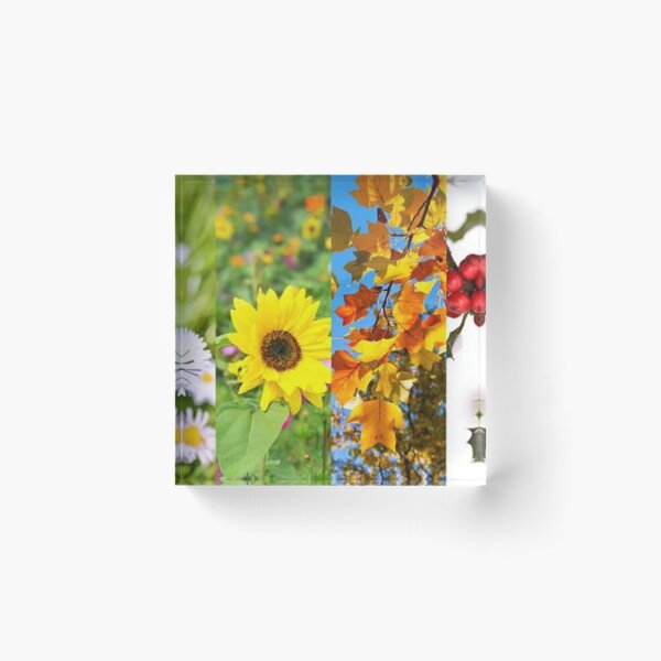 Aperçu de l'œuvre Fleurs et feuilles de saisons créée et vendue par Kiraslife.