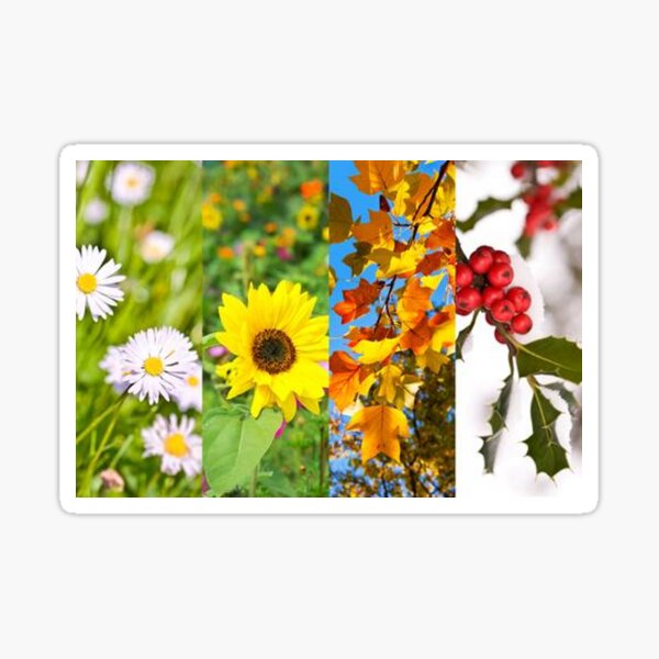 Item preview, Seasons flowers and leaves designed and sold by Kiraslife.