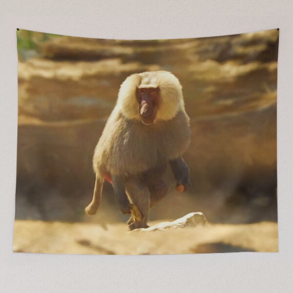 Item preview, Baboon designed and sold by Guardi71.