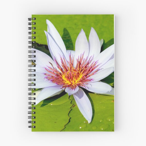 Item preview, Fire Water Lily designed and sold by PhilipBrown.